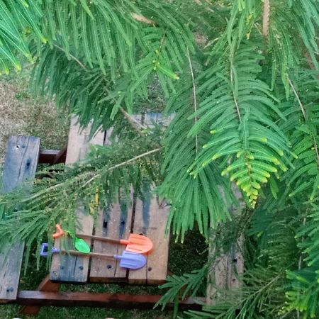 N 34 Otel Mirissa Dış mekan fotoğraf